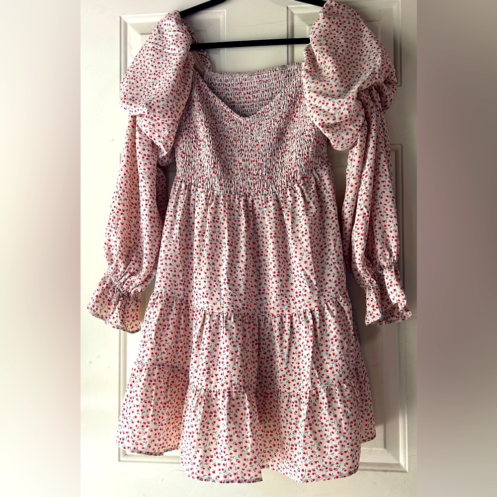 Medium cottage core romantic dreamy style puff sleeve mini floral dress medium
